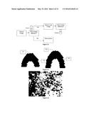 MEANS FOR USING MICROSTRUCTURE OF MATERIALS SURFACE AS A UNIQUE IDENTIFIER diagram and image