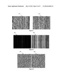 MEANS FOR USING MICROSTRUCTURE OF MATERIALS SURFACE AS A UNIQUE IDENTIFIER diagram and image