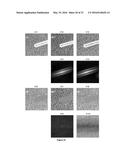 MEANS FOR USING MICROSTRUCTURE OF MATERIALS SURFACE AS A UNIQUE IDENTIFIER diagram and image