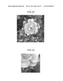 IMAGE PROCESSING APPARATUS, IMAGE PROCESSING METHOD, PROGRAM, PRINTING     MEDIUM, AND RECORDING MEDIUM diagram and image