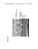 Nanowire Sized Opto-Electronic Structure and Method for Modifying Selected     Portions of Same diagram and image