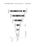 CELL SEARCH PROCEDURE FRAME FORMAT diagram and image