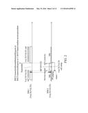 MULTI-SIM USER EQUIPMENT AND WIRELESS COMMUNICATION METHOD THEREOF diagram and image