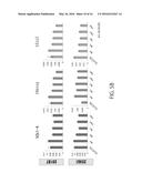 MAINTENANCE MEDIUM FOR PRIMATE PLURIPOTENT STEM CELLS diagram and image