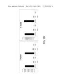 MAINTENANCE MEDIUM FOR PRIMATE PLURIPOTENT STEM CELLS diagram and image