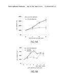 MAINTENANCE MEDIUM FOR PRIMATE PLURIPOTENT STEM CELLS diagram and image