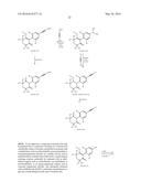 Herbicidally Active (alkynyl-phenyl)-Substituted Cyclic Dione Compounds     and Derivatives Thereof diagram and image