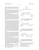 SUSPENSION CONCENTRATE COMPOSITION COMPRISING ISOTHIAZOLINE INSECTICIDE     AND ACTIVATED CHARCOAL diagram and image