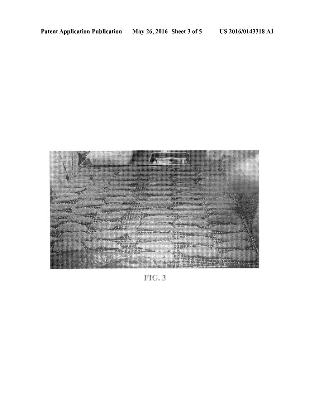 MULTI-TEXTURE PET TREATS AND METHODS OF MAKING SAME - diagram, schematic, and image 04