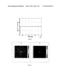 MULTIFREQUENCY ELECTRICAL IMPEDANCE IMAGING USING LORENTZ FIELDS diagram and image