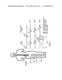 System for Determining Nerve Direction to a Surgical Instrument diagram and image