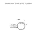 PROBE, ULTRASOUND IMAGING APPARATUS AND CONTROLLING METHOD OF THE     ULTRASOUND IMAGING APPARATUS diagram and image