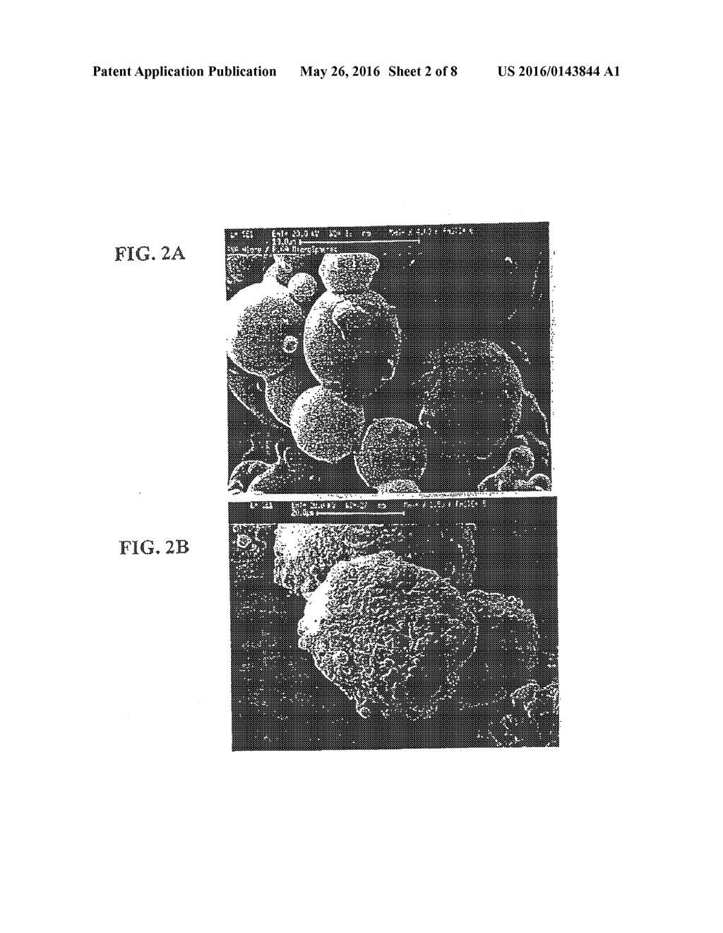 Drug Delivery Systems and Use Thereof - diagram, schematic, and image 03