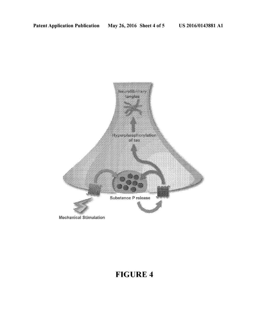 METHOD FOR PREVENTING AND/OR TREATING CHRONIC TRAUMATIC ENCEPHALOPATHY-I - diagram, schematic, and image 05