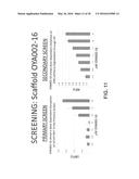 CAMPTOTHECIN DERIVATIVES AS ANTI-HIV AGENTS AND METHODS OF IDENTIFYING     AGENTS THAT DISRUPT VIF SELF-ASSOCIATION diagram and image