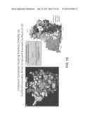 CAMPTOTHECIN DERIVATIVES AS ANTI-HIV AGENTS AND METHODS OF IDENTIFYING     AGENTS THAT DISRUPT VIF SELF-ASSOCIATION diagram and image