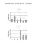 TREATMENT AND DIAGNOSIS OF CANCER AND PRECANCEROUS CONDITIONS USING PDE10A     INHIBITORS AND METHODS TO MEASURE PDE10A EXPRESSION diagram and image