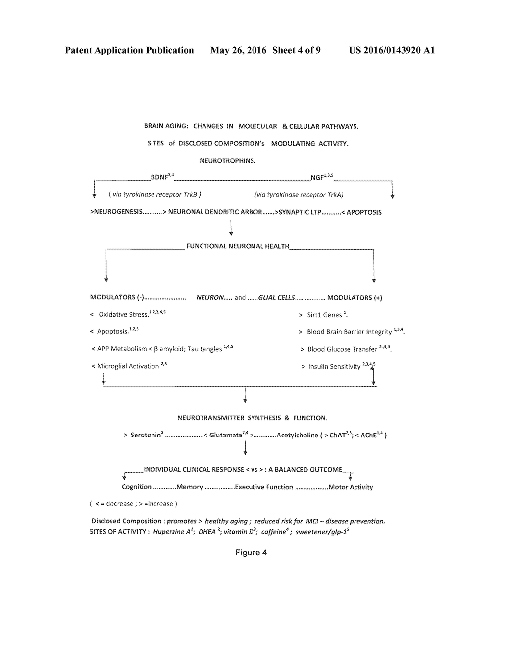 COMPOSITION, FORMULATIONS AND METHODS OF MAKING AND USING BOTANICALS AND     NATURAL COMPOUNDS FOR THE PROMOTION OF HEALTHY BRAIN AGING - diagram, schematic, and image 05