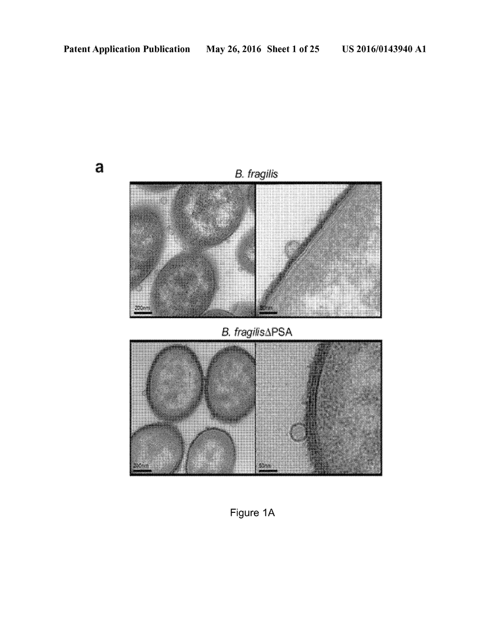 VEHICLE FOR DELIVERING A COMPOUND TO A MUCOUS MEMBRANE AND RELATED     COMPOSITIONS, METHODS AND SYSTEMS - diagram, schematic, and image 02