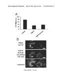 COMPOSITIONS AND THEIR USE FOR REMOVING CHOLESTEROL diagram and image