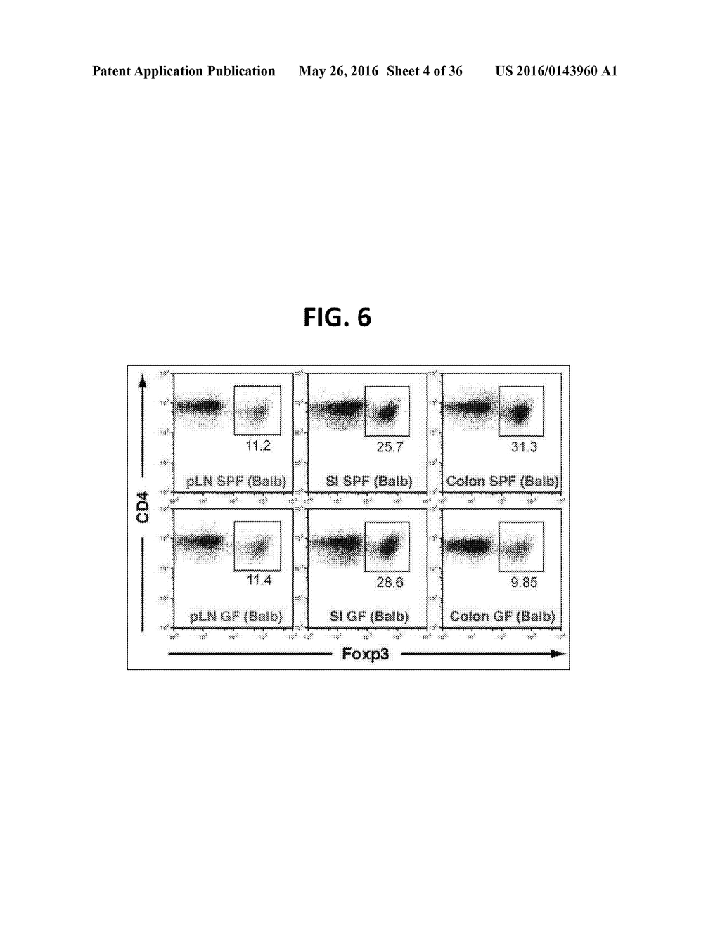 COMPOSITION FOR INDUCING PROLIFERATION OR ACCUMULATION OF REGULATORY T     CELLS - diagram, schematic, and image 05