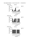 PROBIOTIC AND PREBIOTIC COMPOSITIONS, AND METHODS OF USE THEREOF FOR     TREATMENT AND PREVENTION OF GRAFT VERSUS HOST DISEASE diagram and image