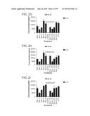 PROBIOTIC AND PREBIOTIC COMPOSITIONS, AND METHODS OF USE THEREOF FOR     TREATMENT AND PREVENTION OF GRAFT VERSUS HOST DISEASE diagram and image