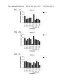 PROBIOTIC AND PREBIOTIC COMPOSITIONS, AND METHODS OF USE THEREOF FOR     TREATMENT AND PREVENTION OF GRAFT VERSUS HOST DISEASE diagram and image