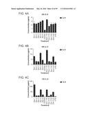 PROBIOTIC AND PREBIOTIC COMPOSITIONS, AND METHODS OF USE THEREOF FOR     TREATMENT AND PREVENTION OF GRAFT VERSUS HOST DISEASE diagram and image