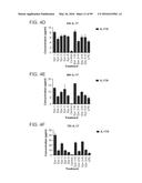 PROBIOTIC AND PREBIOTIC COMPOSITIONS, AND METHODS OF USE THEREOF FOR     TREATMENT AND PREVENTION OF GRAFT VERSUS HOST DISEASE diagram and image