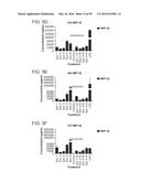 PROBIOTIC AND PREBIOTIC COMPOSITIONS, AND METHODS OF USE THEREOF FOR     TREATMENT AND PREVENTION OF GRAFT VERSUS HOST DISEASE diagram and image