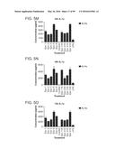 PROBIOTIC AND PREBIOTIC COMPOSITIONS, AND METHODS OF USE THEREOF FOR     TREATMENT AND PREVENTION OF GRAFT VERSUS HOST DISEASE diagram and image