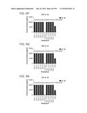 PROBIOTIC AND PREBIOTIC COMPOSITIONS, AND METHODS OF USE THEREOF FOR     TREATMENT AND PREVENTION OF GRAFT VERSUS HOST DISEASE diagram and image
