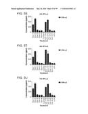 PROBIOTIC AND PREBIOTIC COMPOSITIONS, AND METHODS OF USE THEREOF FOR     TREATMENT AND PREVENTION OF GRAFT VERSUS HOST DISEASE diagram and image