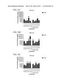 PROBIOTIC AND PREBIOTIC COMPOSITIONS, AND METHODS OF USE THEREOF FOR     TREATMENT AND PREVENTION OF GRAFT VERSUS HOST DISEASE diagram and image