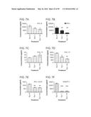 PROBIOTIC AND PREBIOTIC COMPOSITIONS, AND METHODS OF USE THEREOF FOR     TREATMENT AND PREVENTION OF GRAFT VERSUS HOST DISEASE diagram and image