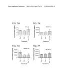 PROBIOTIC AND PREBIOTIC COMPOSITIONS, AND METHODS OF USE THEREOF FOR     TREATMENT AND PREVENTION OF GRAFT VERSUS HOST DISEASE diagram and image