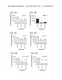 PROBIOTIC AND PREBIOTIC COMPOSITIONS, AND METHODS OF USE THEREOF FOR     TREATMENT AND PREVENTION OF GRAFT VERSUS HOST DISEASE diagram and image