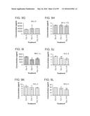 PROBIOTIC AND PREBIOTIC COMPOSITIONS, AND METHODS OF USE THEREOF FOR     TREATMENT AND PREVENTION OF GRAFT VERSUS HOST DISEASE diagram and image