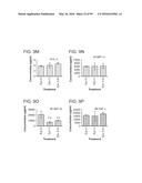 PROBIOTIC AND PREBIOTIC COMPOSITIONS, AND METHODS OF USE THEREOF FOR     TREATMENT AND PREVENTION OF GRAFT VERSUS HOST DISEASE diagram and image