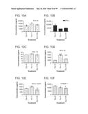 PROBIOTIC AND PREBIOTIC COMPOSITIONS, AND METHODS OF USE THEREOF FOR     TREATMENT AND PREVENTION OF GRAFT VERSUS HOST DISEASE diagram and image