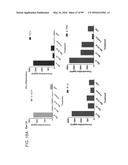 PROBIOTIC AND PREBIOTIC COMPOSITIONS, AND METHODS OF USE THEREOF FOR     TREATMENT AND PREVENTION OF GRAFT VERSUS HOST DISEASE diagram and image