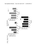 PROBIOTIC AND PREBIOTIC COMPOSITIONS, AND METHODS OF USE THEREOF FOR     TREATMENT AND PREVENTION OF GRAFT VERSUS HOST DISEASE diagram and image