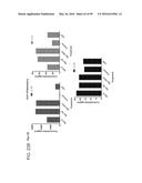 PROBIOTIC AND PREBIOTIC COMPOSITIONS, AND METHODS OF USE THEREOF FOR     TREATMENT AND PREVENTION OF GRAFT VERSUS HOST DISEASE diagram and image