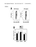 METHODS OF NEUROPROTECTION INVOLVING MACROPHAGE COLONY STIMULATING FACTOR     RECEPTOR AGONISTS diagram and image