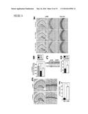 METHODS OF NEUROPROTECTION INVOLVING MACROPHAGE COLONY STIMULATING FACTOR     RECEPTOR AGONISTS diagram and image