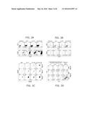 ENHANCING PROGENITOR CELL NUMBERS diagram and image