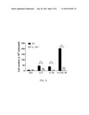 ENHANCING PROGENITOR CELL NUMBERS diagram and image