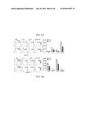 ENHANCING PROGENITOR CELL NUMBERS diagram and image