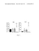 ENHANCING PROGENITOR CELL NUMBERS diagram and image